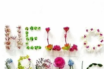 flores