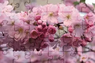 flores jigsaw puzzle