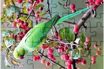 natural jigsaw puzzle