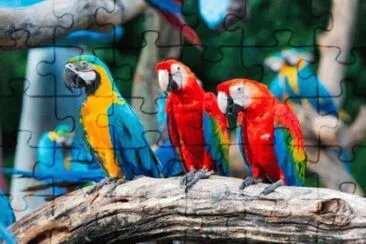 Guaca0mayos jigsaw puzzle