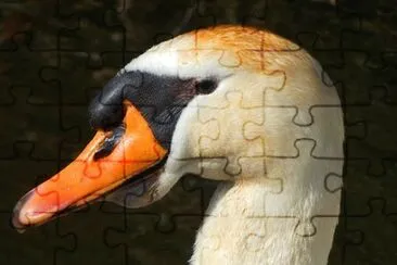 Imagem jigsaw puzzle