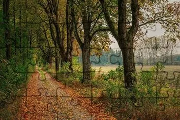 Imagem jigsaw puzzle