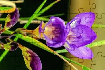 flores jigsaw puzzle