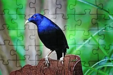 natural jigsaw puzzle