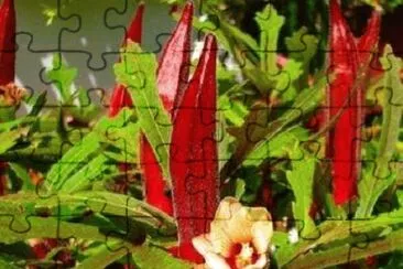 OK jigsaw puzzle