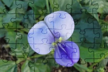 OK jigsaw puzzle