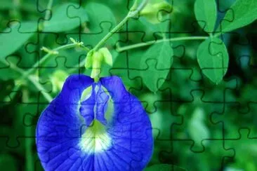 OK jigsaw puzzle