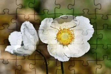 OK jigsaw puzzle