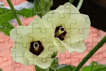OK jigsaw puzzle