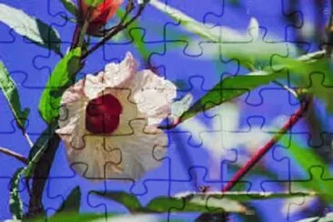 Ok jigsaw puzzle