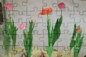 OK jigsaw puzzle
