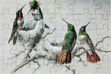 natural jigsaw puzzle