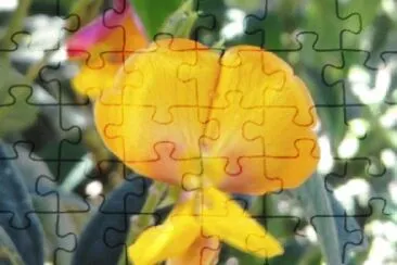 OK jigsaw puzzle