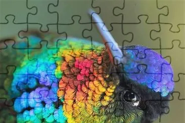 natural jigsaw puzzle