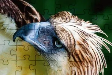 natural jigsaw puzzle
