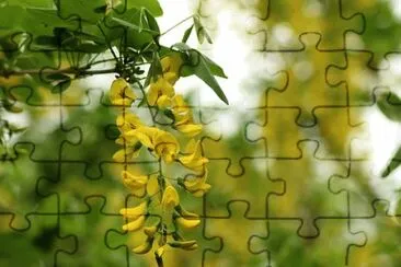 OK jigsaw puzzle