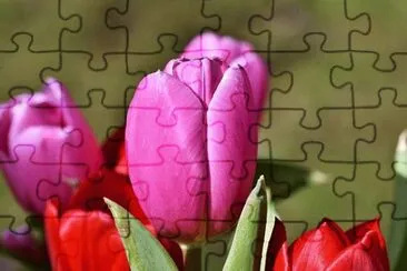 OK jigsaw puzzle