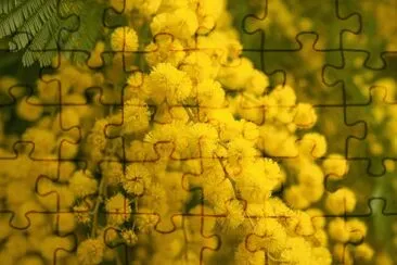 OK jigsaw puzzle