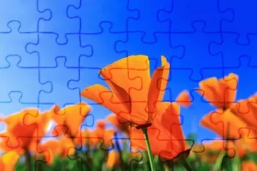 OK jigsaw puzzle