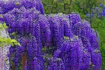 OK jigsaw puzzle