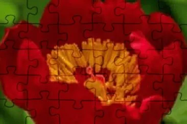 OK jigsaw puzzle