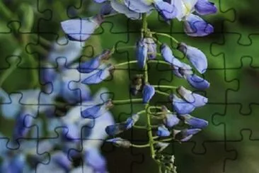 OK jigsaw puzzle