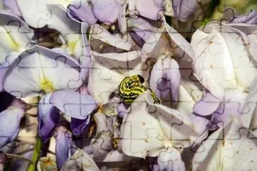 OK jigsaw puzzle