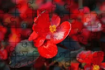 OK jigsaw puzzle