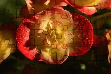 OK jigsaw puzzle