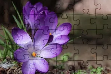 OK jigsaw puzzle