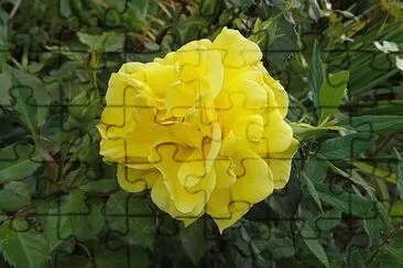 OK jigsaw puzzle