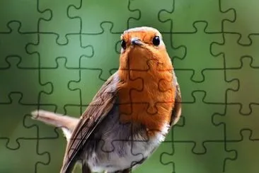 Imagem jigsaw puzzle