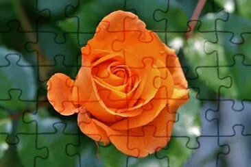 OK jigsaw puzzle