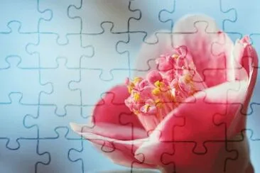 OK jigsaw puzzle
