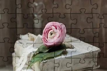 Imagem jigsaw puzzle