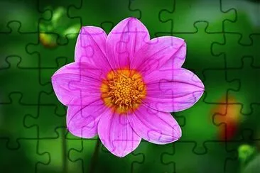 OK jigsaw puzzle