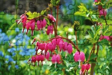 OK jigsaw puzzle