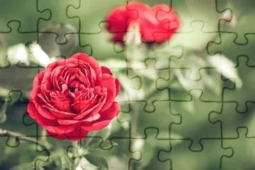 OK jigsaw puzzle