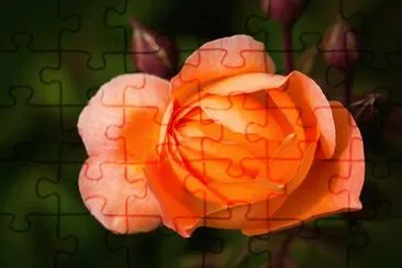 OK jigsaw puzzle