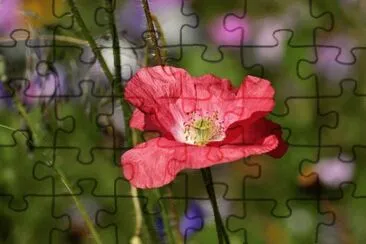 OK jigsaw puzzle