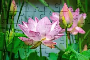 OK jigsaw puzzle
