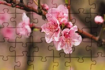 OK jigsaw puzzle