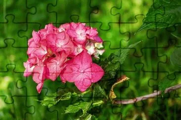 OK jigsaw puzzle