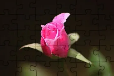OK jigsaw puzzle