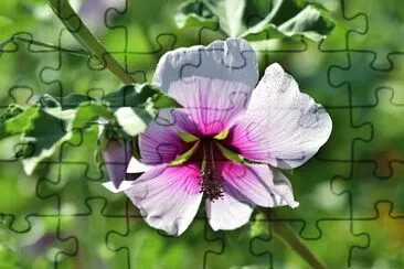 OK jigsaw puzzle