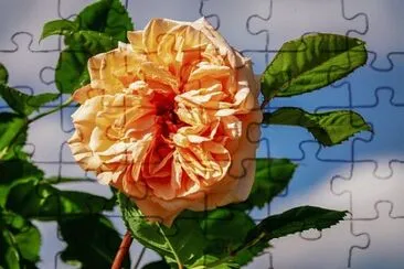 OK jigsaw puzzle