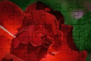 OK jigsaw puzzle