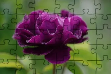 OK jigsaw puzzle
