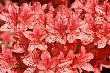 OK jigsaw puzzle