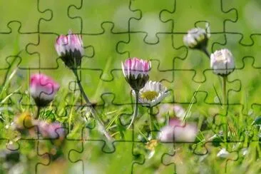 OK jigsaw puzzle